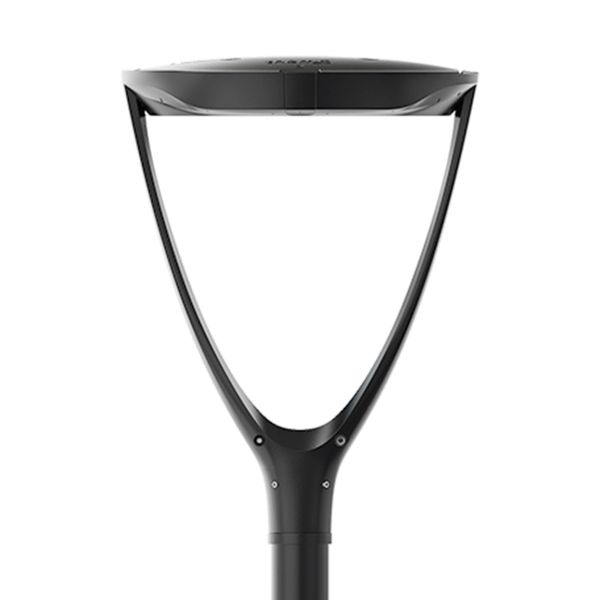 Themis PT